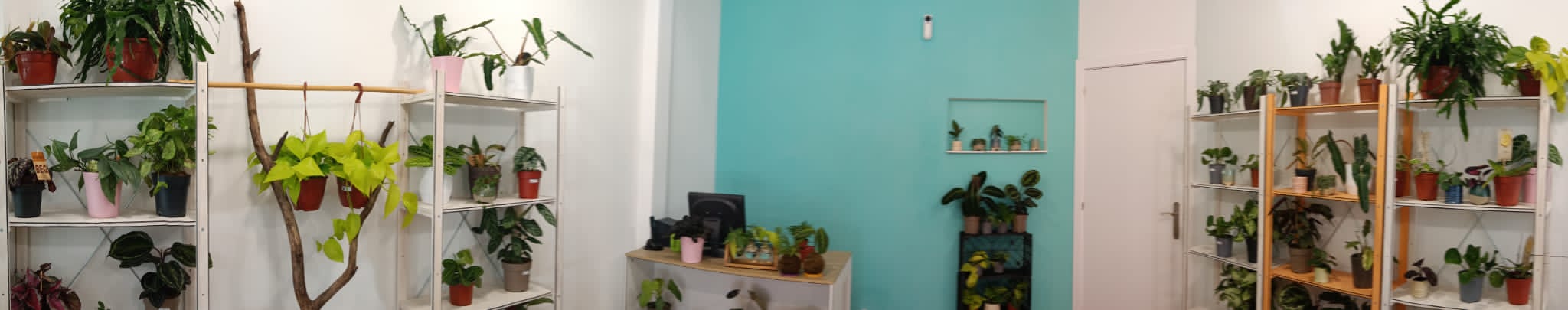 Tienda La Plantitoteca